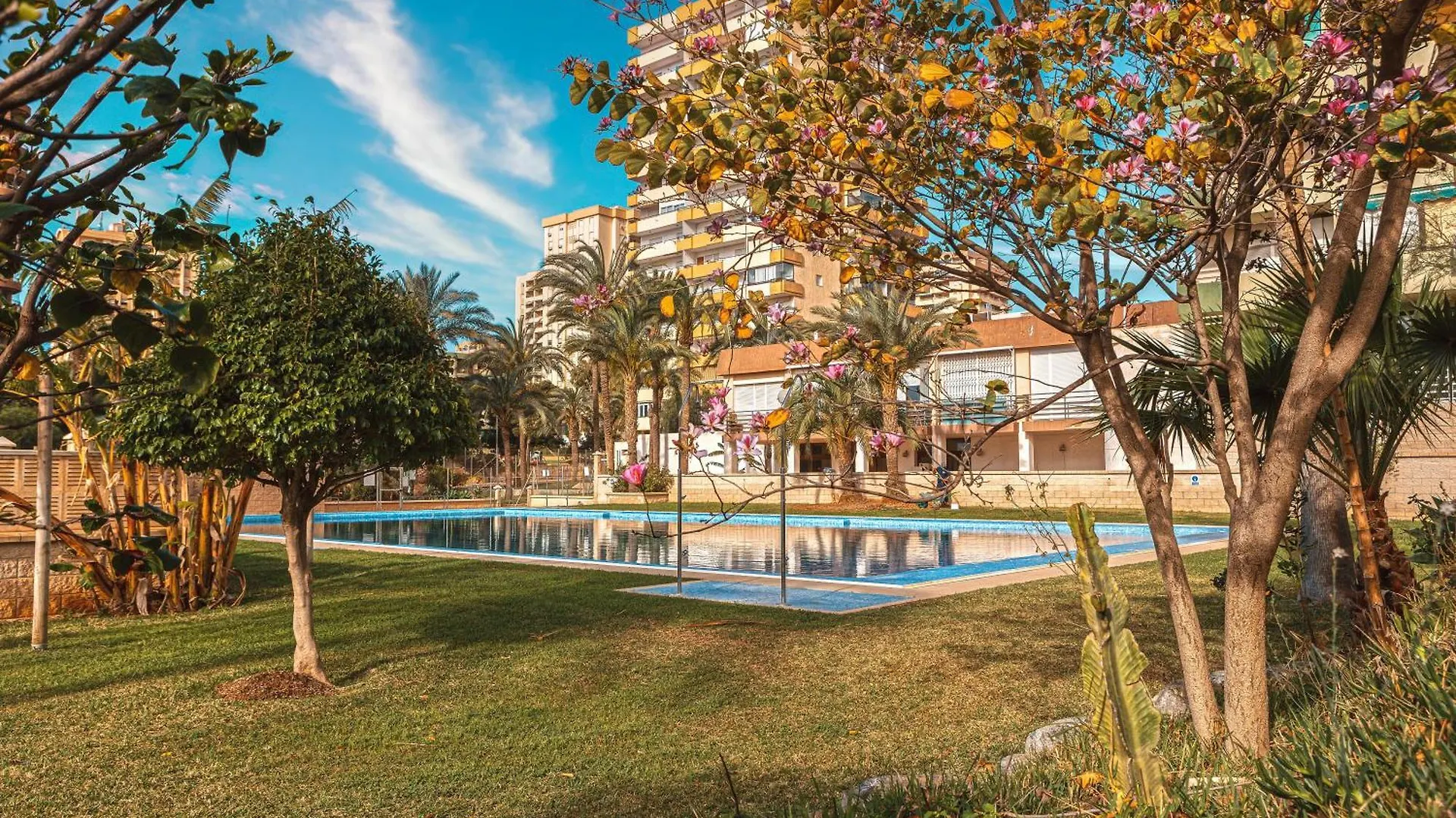 Apartamento Brisa Playa Aguadulce